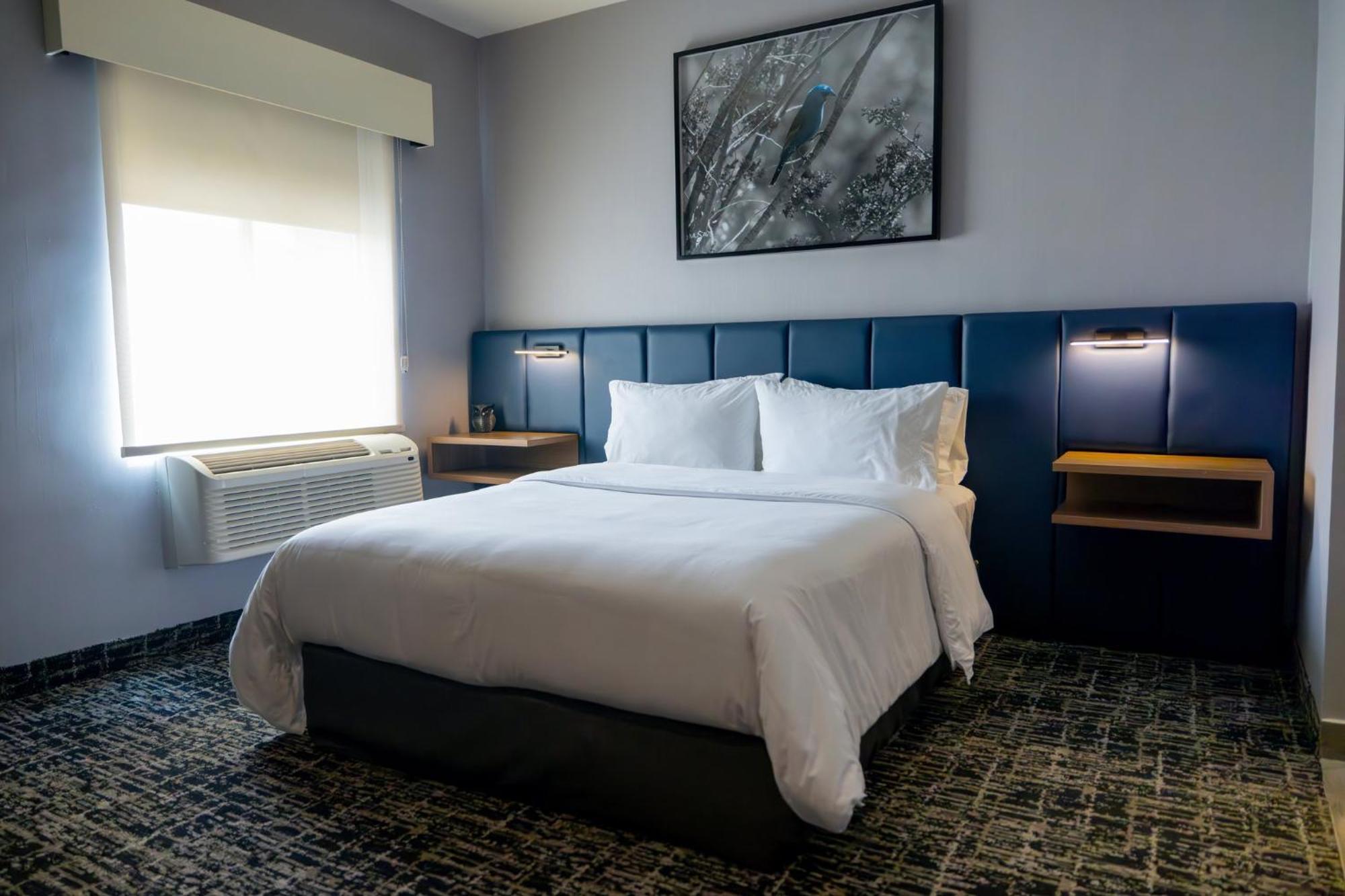 Voco Saltillo Suites By Ihg Exterior foto
