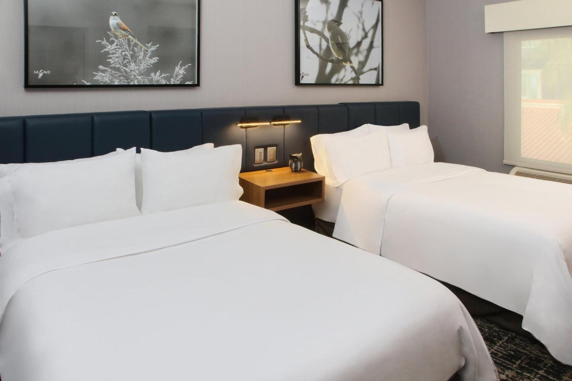 Voco Saltillo Suites By Ihg Exterior foto