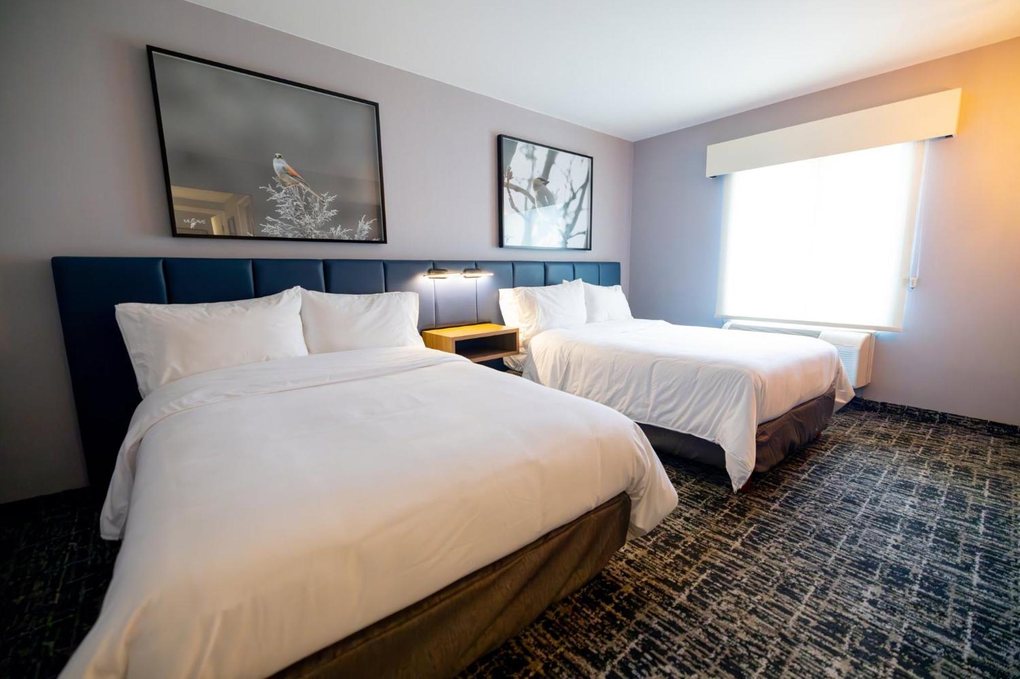 Voco Saltillo Suites By Ihg Exterior foto