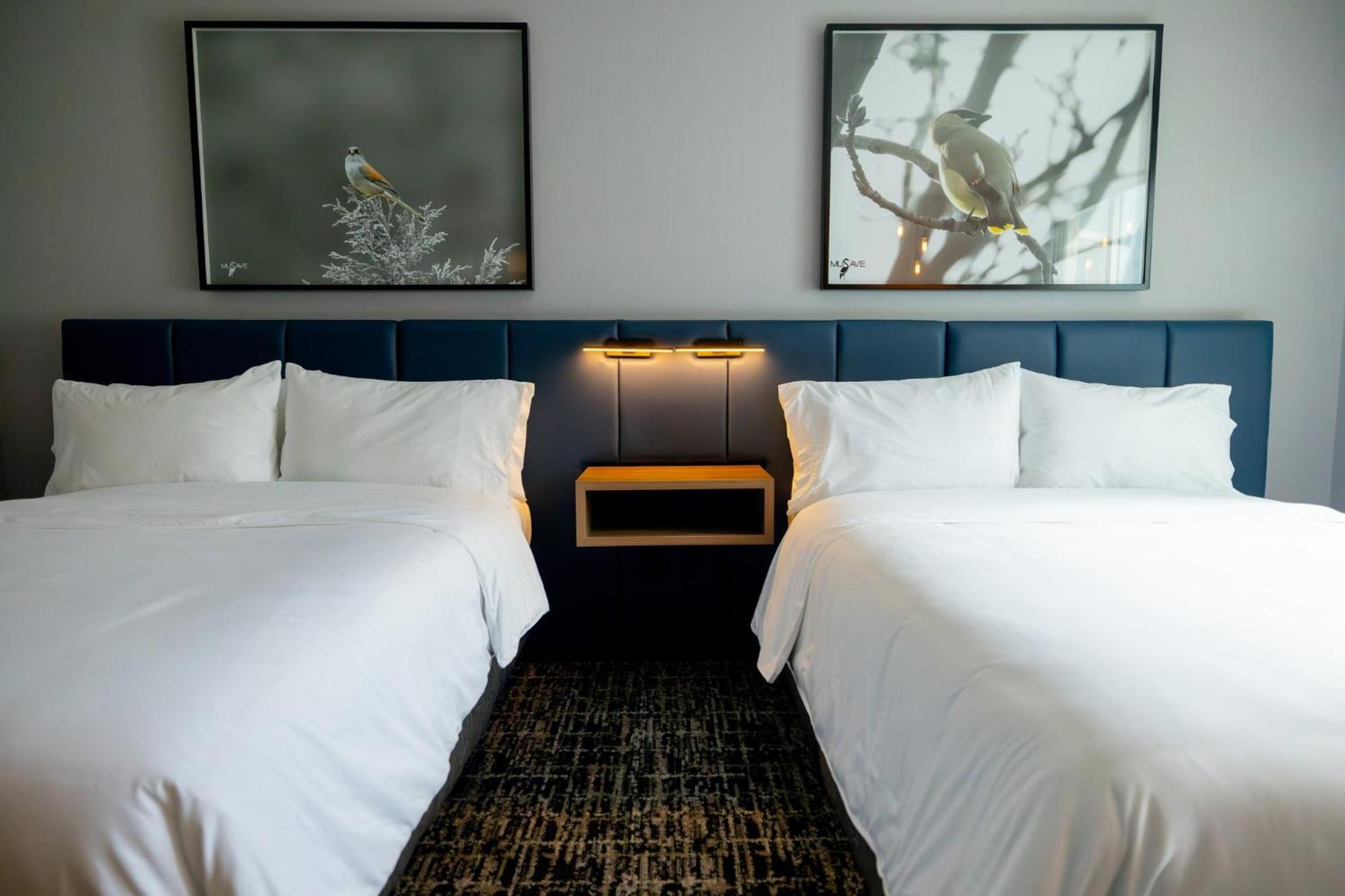 Voco Saltillo Suites By Ihg Exterior foto